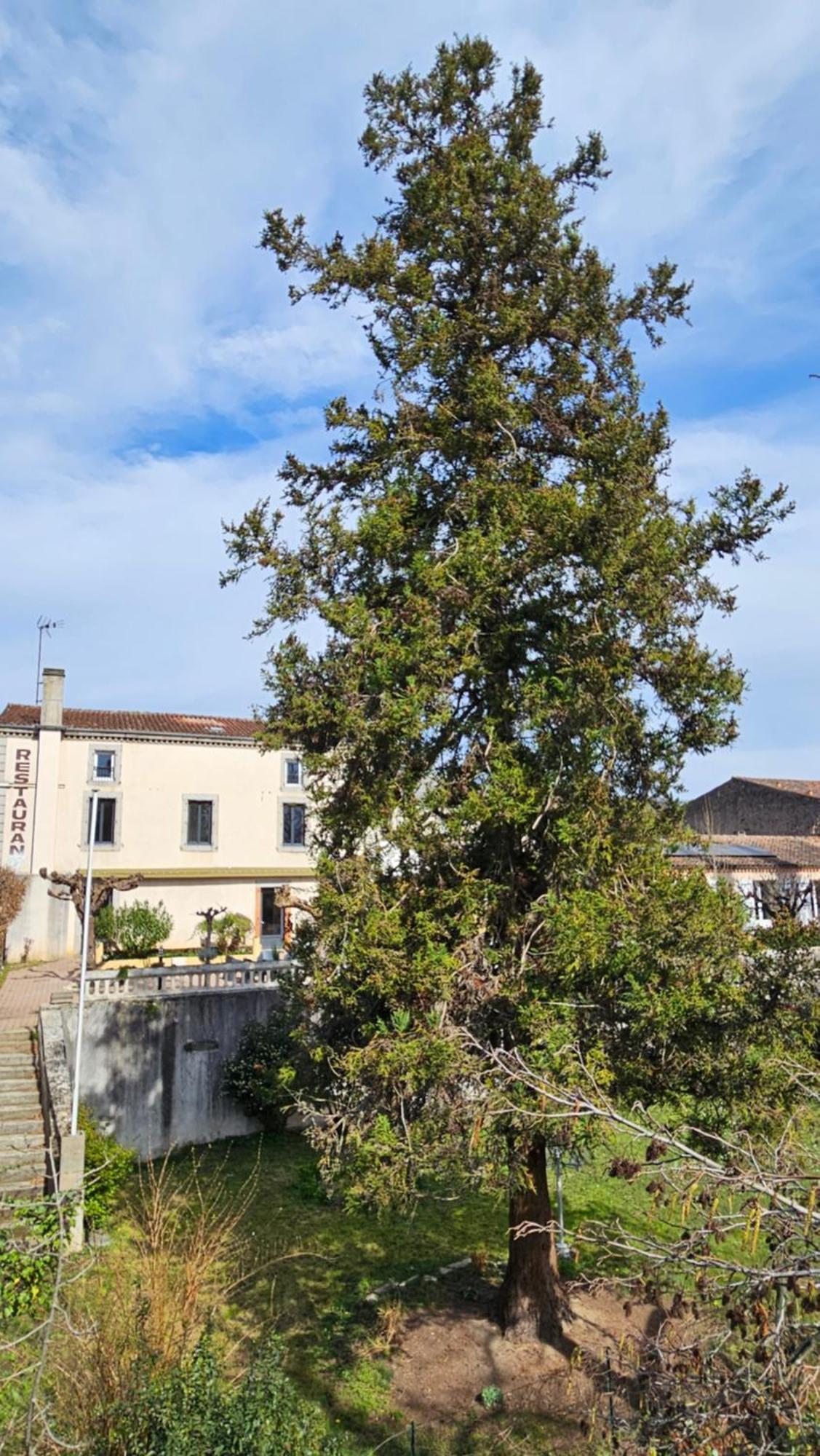 Coliv'Castres Βίλα Burlats Εξωτερικό φωτογραφία